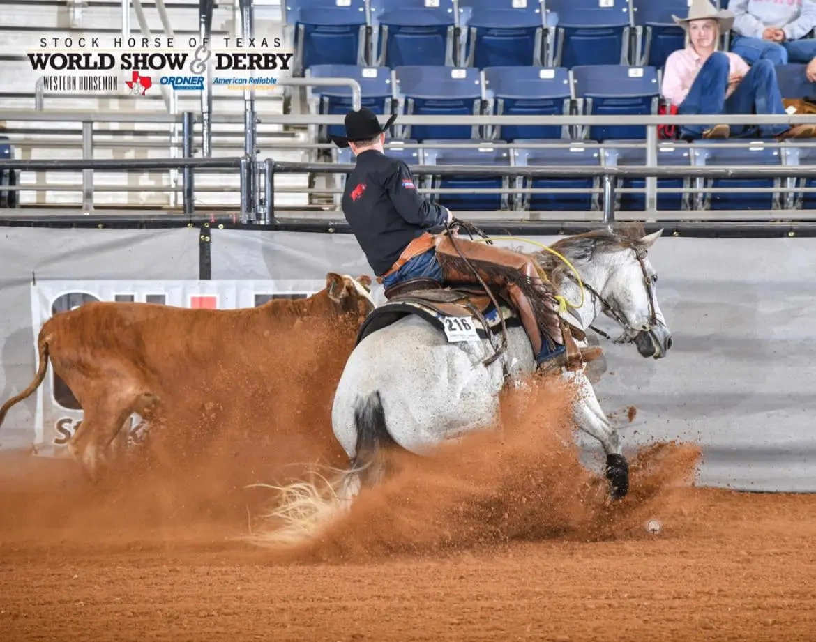 Jordan Shore training a horse in arena
